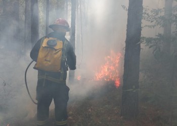 El incendio en Mártires arrasó con cerca de 30 hectáreas de pinar