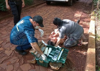 A juicio el joven que mató a su compañero del Mercado Central