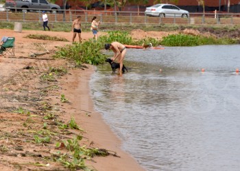 Plantas y ramas acumuladas en el balneario El Brete