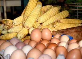 “Pueden faltar choclos, quesos y huevos para la Semana Santa”