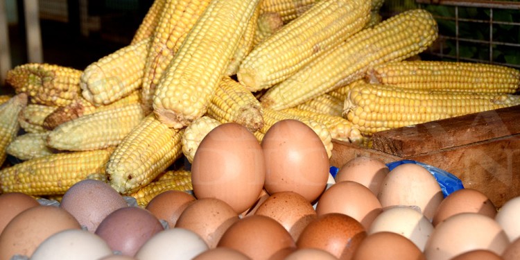 ATENTOS. Si bien falta poco más de un mes, las proyecciones no son buenas.