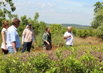 Claves para la toma de decisiones en manejo y nutrición del suelo