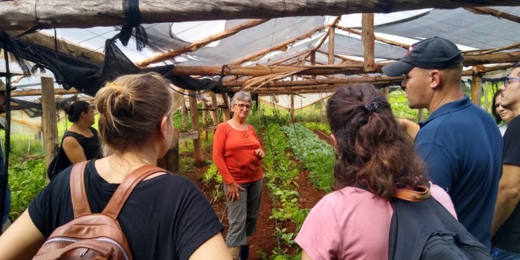 TRABAJO DE CAMPO. La formación, además del trabajo áulico ofrece a los profesionales la posibilidad de recorrer algunas fincas misioneras para palpar la realidad de las chacras.