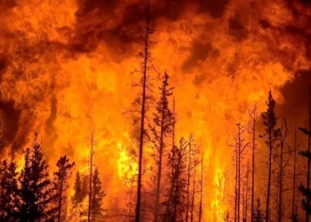Argentina enviará brigadistas y helicóptero para combatir los incendios forestales en Chile