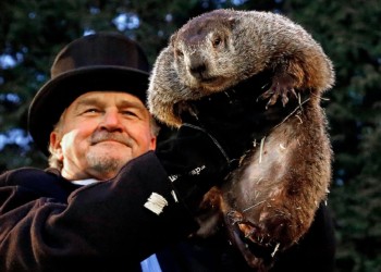 ¿Qué es el Día de la Marmota y por qué se celebra el 2 de febrero?