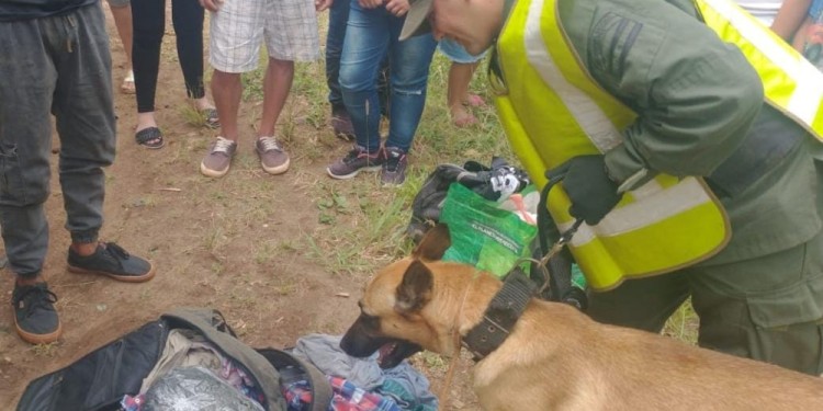 CONTENIDO. La marihuana envuelta en plástico que llevaba el pasajero.