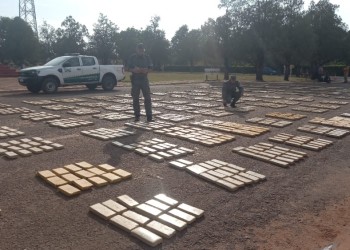 Golpe al narcotráfico: decomisan seis toneladas de marihuana en Misiones