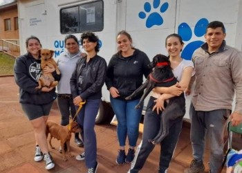 Protectora de animales Patitas Felices lanzará un bono para recaudar recursos