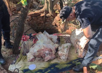 Operativos periódicos y colaboración entre productores y policía para frenar el abigeato