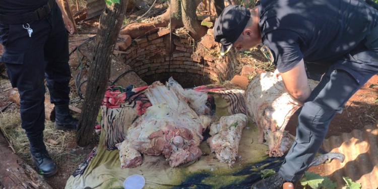 A SIETE METROS DE PROFUNDIDAD. Investigadores de la comisaría de San José hallaron restos del toro robado en un pozo de agua.