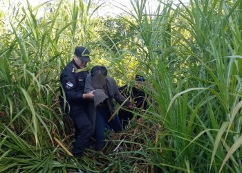 Rescataron a un hombre que estaba desaparecido en el monte