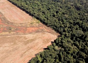 La deforestación en la Amazonia brasileña batió un nuevo récord