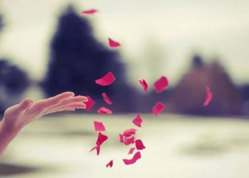 Suelta todo para vivir el desapego