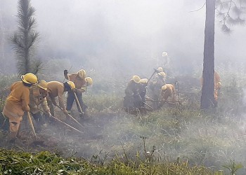 Por falta de recursos, Bomberos Voluntarios dejaron de prestar servicios sobre la ruta 12
