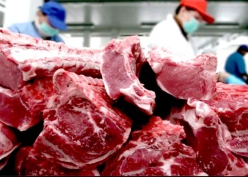 Según el IPEC, los misioneros comen cada vez menos carne