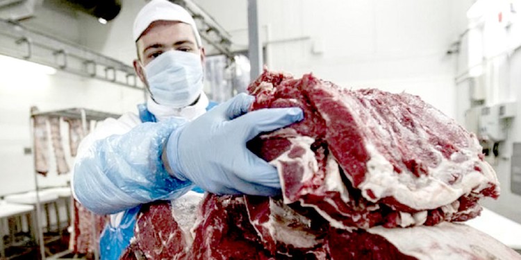 MISIÓN IMPOSIBLE. Hay pocos puntos de venta y los cupos casi siempre se terminan en las provincias grandes.