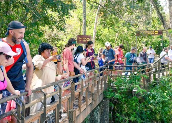Con alta ocupación turística, Misiones cerró enero con números alentadores
