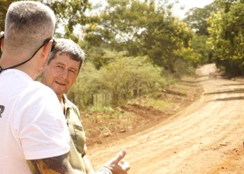 Restablecen colectivos en la ruta 208