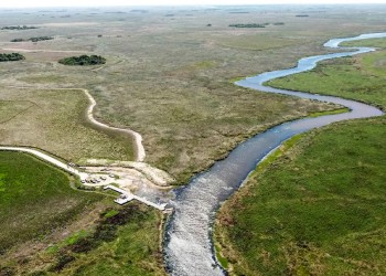 La superficie de agua de Corrientes cayó del 40% al 8,6% en los últimos tres años