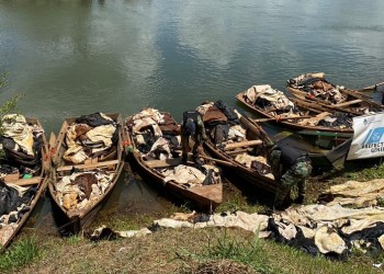 Secuestraron más de 8 toneladas de cuero vacuno en Misiones