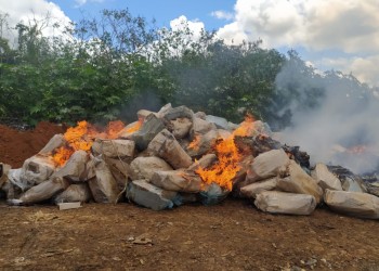 Destruyeron cargamento de pescados congelados en Irigoyen