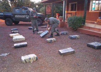 Secuestran casi 300 kilos de marihuana en una zona de monte