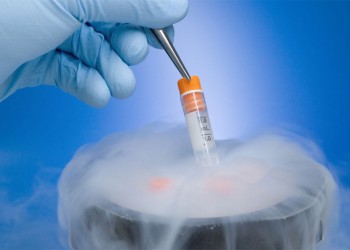 Convocan a audiencia pública para debatir qué hacer con embriones congelados