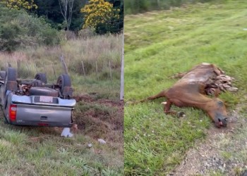 Intendente de Encarnación se vio involucrado en el choque de dos camionetas y un caballo