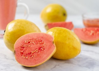 Ecosanación: guayabo, el árbol medicina