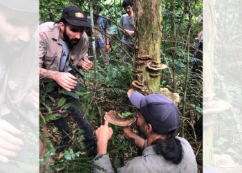 Intervenir el ecosistema y producir a partir de bases sustentables en Misiones