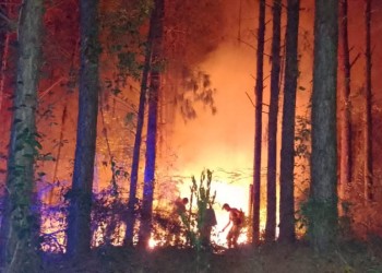 Incendio de grandes proporciones afecta a Mártires