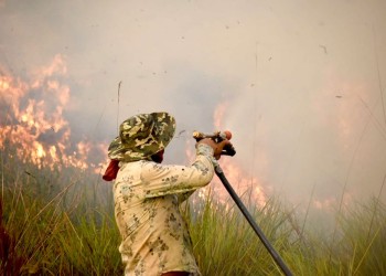 “Los efectos del calor y los incendios golpean duro al portal de entrada a los Esteros del Iberá”