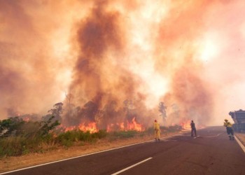 El fuego sigue arrasando en Corrientes: hay 15 focos de incendio