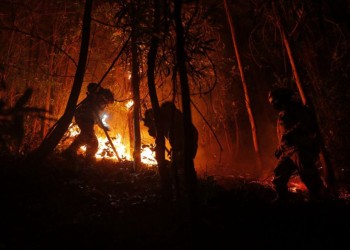 Incendios en Chile dejan 24 muertos, 1.000 heridos y 800 casas destruidas