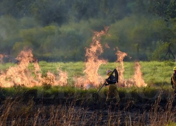 La falta de lluvias “potencia el peligro” de incendios en Misiones