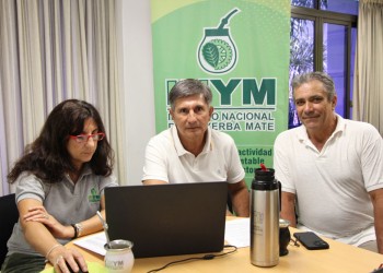 Cuidado ambiental, clave en el recorrido de la yerba mate hacia el consumidor