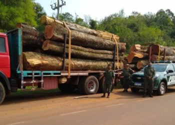 Ecología dio marcha atrás con la fuerte suba aplicada a las guías forestales