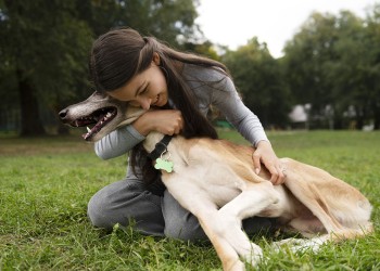 “Una mascota es un compromiso de 10 a 15 años”
