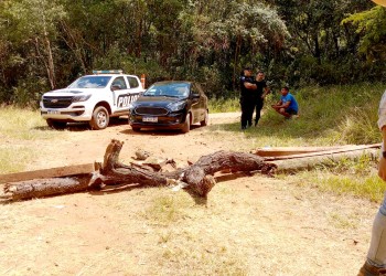 Comunidades mbya denunciaron invasión y desmonte en sus tierras