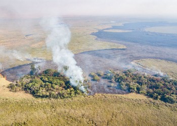 El Iberá nuevamente amenazado por los incendios en Corrientes