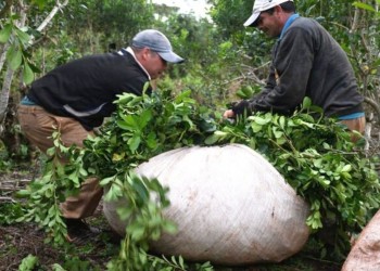 En marzo se reabren paritarias de unos 40 mil trabajadores rurales de Misiones