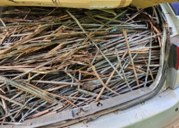 Interceptan contrabando millonario de cobre y plomo en Puerto Iguazú