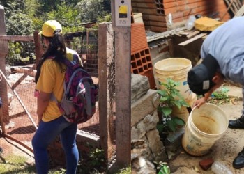 Continúan las acciones para prevenir enfermedades vectoriales