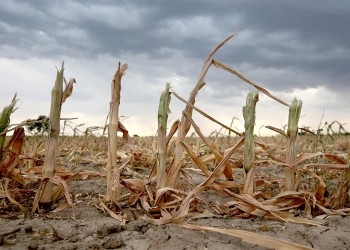 Argentina atraviesa su peor sequía en 60 años: cuáles son las diferencias con las anteriores