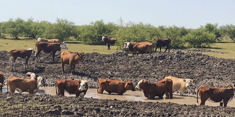 Foto: www.nortecorrientes.com
