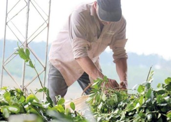 Para obreros con planes, trabajar en “blanco” es un problema