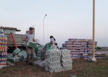 Advierten que la Nación volvió a adquirir yerba mate sin estampillas