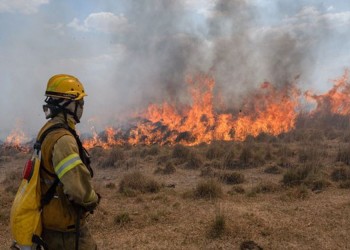 Corrientes registró 11 focos de incendio