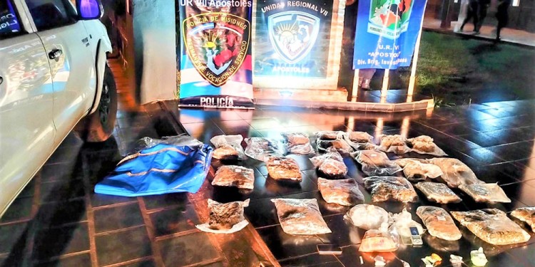 CARGA MILLONARIA. Las bolsas con cogollos y los envoltorios de cocaína, valuados en 16 millones de pesos.