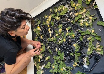 Homenaje a la Mujer en el Parque del Conocimiento